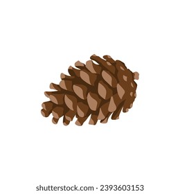 Pine cone. Color vector image on a white background.