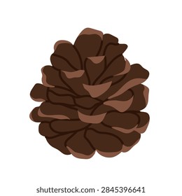 Pine cone. Coniferous forest cone in flat style on white background.