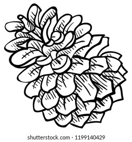 Pine cone - design element in pencil drawing outline style