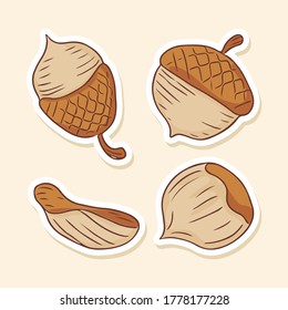 Pine Cone doodle illustration and sticker, simple and cute colorful sketching style