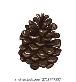Cone de pinho gravado elemento botânico com escalas em camadas e textura detalhada no estilo de gravação colorido à mão. Vintage gravura botânica com expressiva linework. Ilustração vetorial.