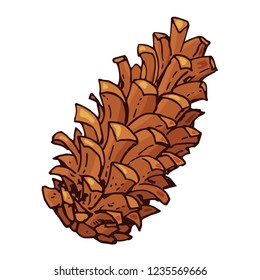 Pine cone. Festive element for christmas decoration, design, greeting cards and invitations. Isolated on white background. Vintage style. Vector color hand drawn illustration.