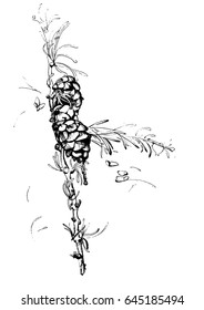Pine cone and fir tree set