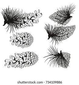 Pine cone and fir tree set. Botanical hand drawn vector illustration. Isolated xmas pinecones. Engraved collection. 