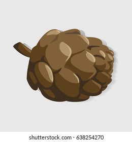 Pine Cone Graphic Illustration Vector