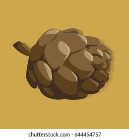 Pine Cone Graphic Illustration Vector
