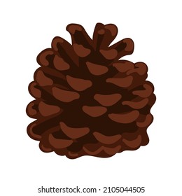 Pine cone hand drawn isolated vector illustration