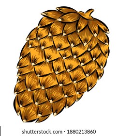 Pine cone hand drawn vector illustration isolated on white background.