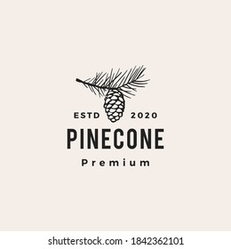 Pine Cone Hipster Vintage Logo Vector Icon Illustration