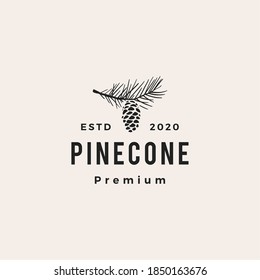 pine cone hipster vintage logo vector icon illustration