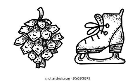 Pine cone and ice skate. Hand drawn vector illustration isolated on a white background. Winter black sketch.