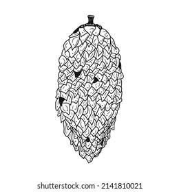 Pine cone icon. Black graphic sketch. Idea for decors, logo, covers, holidays, gifts, art. Isolated vector.
