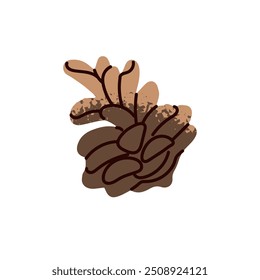 Pine cone icon. Pinecone in hand drawn style. Strobile of spruce, fir, cedar. Seed of conifer trees. Forest design element, natural decor. Flat isolated vector illustration on white background