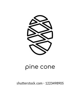 pine cone icon. Trendy modern flat linear vector pine cone icon on white background from thin line Christmas collection, outline vector illustration