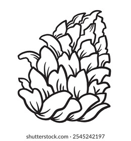 Pine cone illustration drawing isolated on square white background. Simple flat outlined black and white cartoon art styled drawing.