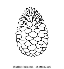 Pine cone isolated on white background. Black and white illustration. Vector illustration