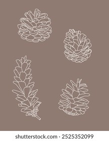 Pine cone. Line drawing. Black and white illustration. Vector