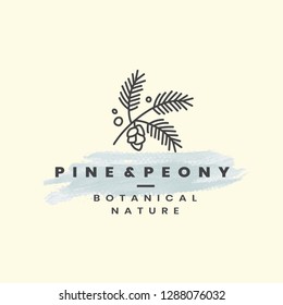 Pine cone Logo Vector Graphic Template