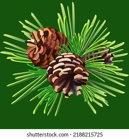 pine cone with needles on a dark green background