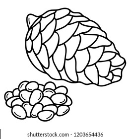 Pine cone with pine nuts. Vector flat outline icon illustration isolated on white background.