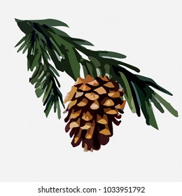 Pine cone on a pine branch. Vector illustration.
