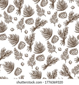 Pine cone on branches with needles, fir tree twigs, botanical decoration seamless pattern. Christmas symbol, foliage of evergreen coniferous plant. Monochrome sketch outline, vector in flat style