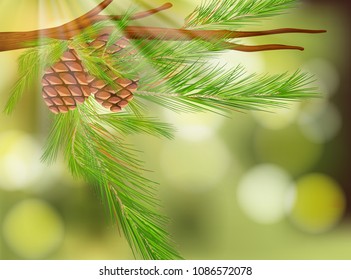 Pine Cone on Green Nature Background illustration