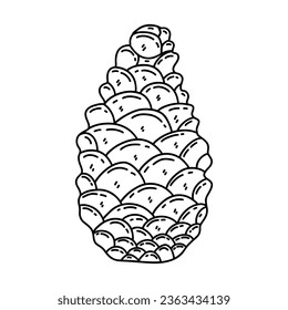 Pine cone on a white background. Black and white isolated vector illustration doodle. Hand drawn icon or card, design element