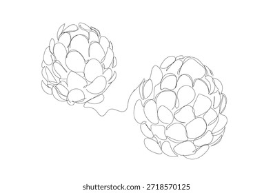 Pine cone one line art. Continuous line drawing of new year, freezing, holidays, christmas, traditional, pine cone, nuts, decor, winter, pine, spruce. Hand made vector not Al.