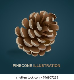 Pine cone realistic illustration. 
Isolated vector pinecone. 
