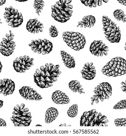 Pine cone  seamless pattern. Botanical hand drawn vector background. Isolated xmas pinecones. Engraved forest collection. Great for greeting cards, backgrounds, holiday decor