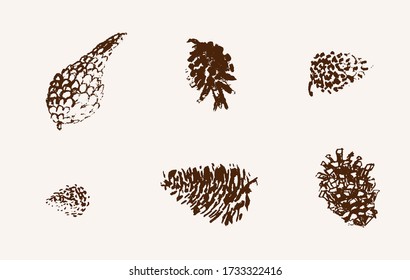 Pine cone set. Botanical hand drawn vector illustration. Isolated xmas pinecones. Engraved collection. Great for greeting cards, backgrounds, holiday decor. Drawing effect chalk or pastels.