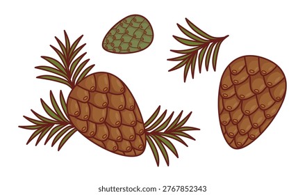 Pine Cone Set. Branches, Green Baby Cone And Brown Pine Cone. Isolated Botanical Elements. Vector Illustration
