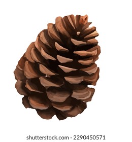 pine cone with style hand drawn digital painting illustration