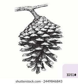 Pine cone. Tree plant, fruit. Pointillism, graphic black ink drawing