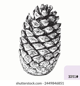 Pine cone. Tree plant, fruit. Pointillism, graphic black ink drawing