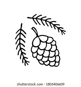 Pine cone and twigs. Hand drawn vector doodle elements.