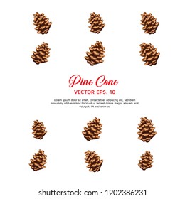 Pine Cone Vector