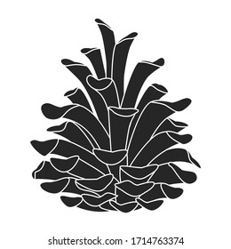 Pine of cone vector icon.Black vector icon isolated on white background pine of cone. 