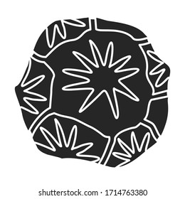 Pine of  cone vector icon.Black vector icon isolated on white background pine of cone.