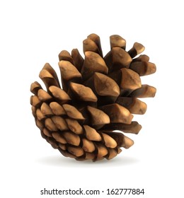 Pine Cone Vector Illustration