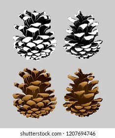 Pine cone vector illustration, black and white and colorful version