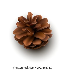 Ilustración vectorial de cono de pino. Cono de árbol de Navidad con fondo blanco en un primer plano