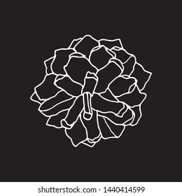 Pine cone vector illustration. Isolated Christmas pinecones. Engraved style. Elements for design of greeting cards, backgrounds, holiday decor. Silhouette designed for print, packing or poster design.