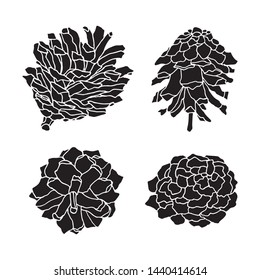 Pine cone vector illustration. Isolated Christmas pinecones. Engraved style. Elements for design of greeting cards, backgrounds, holiday decor. Silhouette designed for print, packing or poster design.