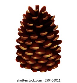 Pine cone, vector illustration, isolated on white background