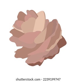 Pine cone. Vector illustrator. One element.