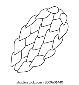 Kiefernkegel, Vektorsymbol. Vektorgrafik-Pinecon auf weißem Hintergrund. Einziger Umriss-Icon der Kegeltanne.