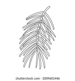 Pine cone vector outline icon. Vector illustration pinecone on white background. Isolated outline illustration icon of cone fir.