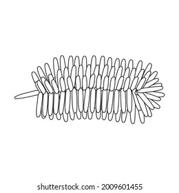 Pine cone vector outline icon. Vector illustration pinecone on white background. Isolated outline illustration icon of cone fir.
